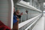 Spacious Balcony Stateroom Picture