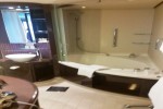 The Haven Courtyard Penthouse Stateroom Picture