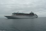 Superior Oceanview Stateroom Picture