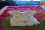 Balcony Stateroom Picture