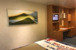 Deluxe Oceanview Stateroom Picture