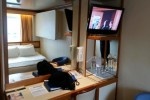 Oceanview Stateroom Picture