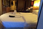 Verandah Stateroom Picture
