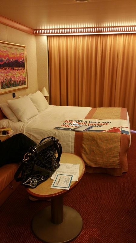 carnival cruise stateroom 8269