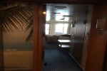 Cove Balcony Stateroom Picture