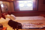 Porthole Stateroom Picture