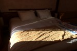 Junior Suite Stateroom Picture
