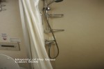 Superior Oceanview Stateroom Picture