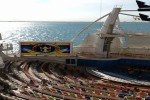 Boardwalk and Park Balcony Stateroom Picture