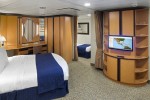 Ultra Spacious Oceanview Stateroom Picture