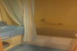 Deluxe Oceanview Stateroom Picture