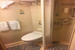 Interior Stateroom Picture