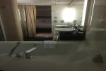 Aft Penthouse Stateroom Picture