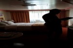 Oceanview Stateroom Picture