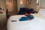 Panoramic Oceanview Stateroom Picture