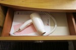 Oceanview Stateroom Picture