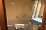 Deluxe Oceanview Stateroom Picture