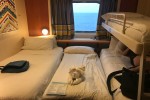 Oceanview Stateroom Picture