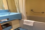 Deluxe Oceanview Stateroom Picture