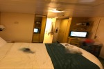 Promenade View Interior Stateroom Picture