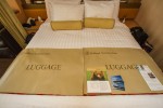 Vista Stateroom Picture