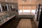 Penthouse Suite Stateroom Picture