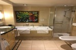 Owners Suite Stateroom Picture