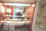 Club Suite Stateroom Picture