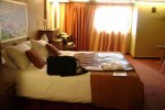 Oceanview Stateroom Picture