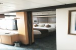 Owners Suite Stateroom Picture