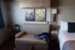 Oceanview Stateroom Picture