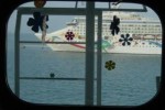 Oceanview Stateroom Picture