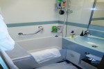 Deluxe Oceanview Stateroom Picture