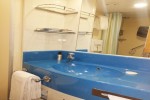 Interior Stateroom Picture