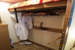 Celebrity Suite Stateroom Picture