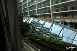 Boardwalk and Central Park View Stateroom Picture