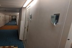 Oceanview Stateroom Picture