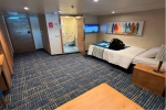 Small Interior Stateroom Picture