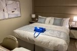 Interior Stateroom Picture