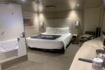 Interior Stateroom Picture