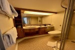 Verandah Stateroom Picture