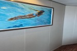 Verandah Stateroom Picture