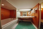 Mini-Suite Stateroom Picture