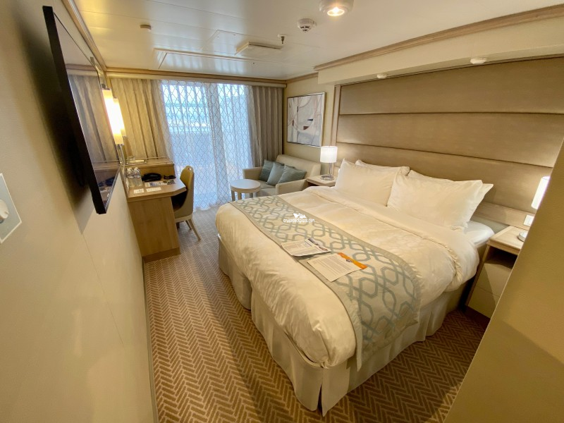 Discovery Princess Stateroom L101