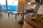 Mini-Suite Stateroom Picture