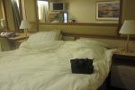 Oceanview Stateroom Picture