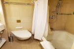 Mini-Suite Stateroom Picture
