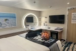 Interior Stateroom Picture