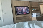 Panoramic Stateroom Picture