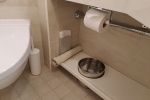 Mini-Suite Stateroom Picture